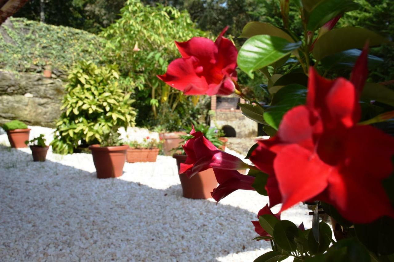 O Mencer Do Camino Apartamento Cee Exterior foto